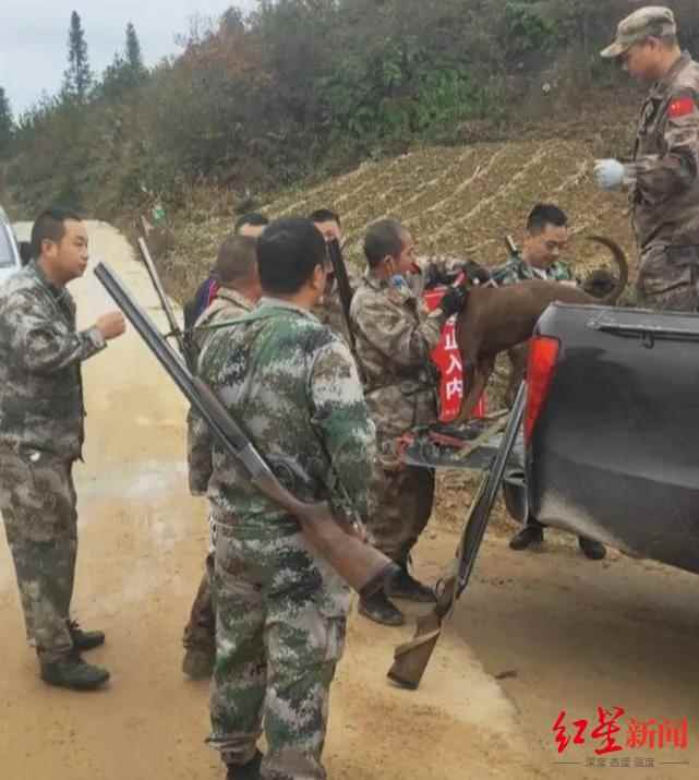 �����Զӡ�